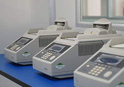 九江上户亲子鉴定怎么做呢
