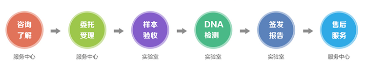隐私亲子鉴定流程 隐私亲子鉴定流程